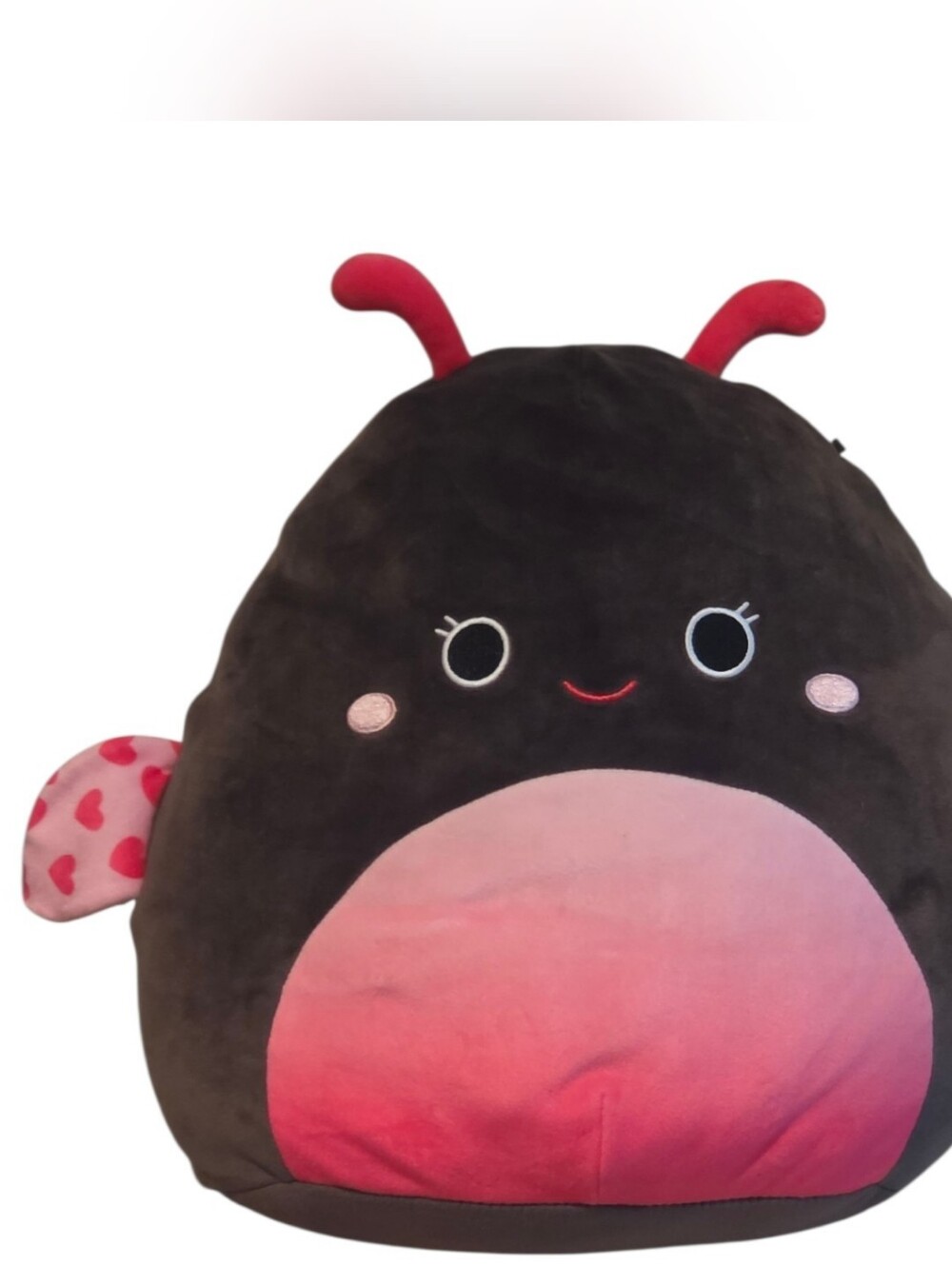 Squishmallows Black Ladybug Plush with Pink Gradient Belly